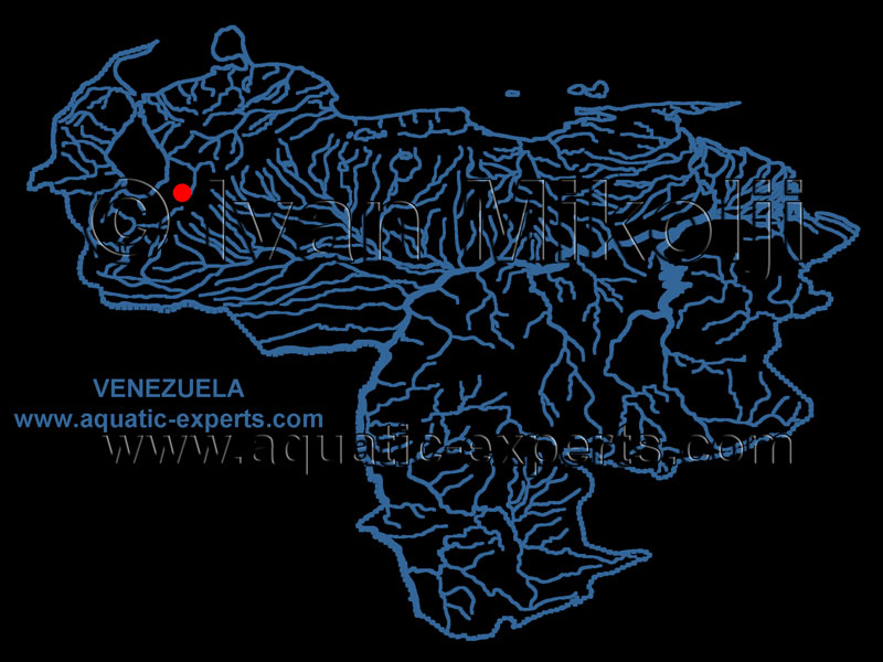 mapa, embalse, santo domindo, merida, venezuela